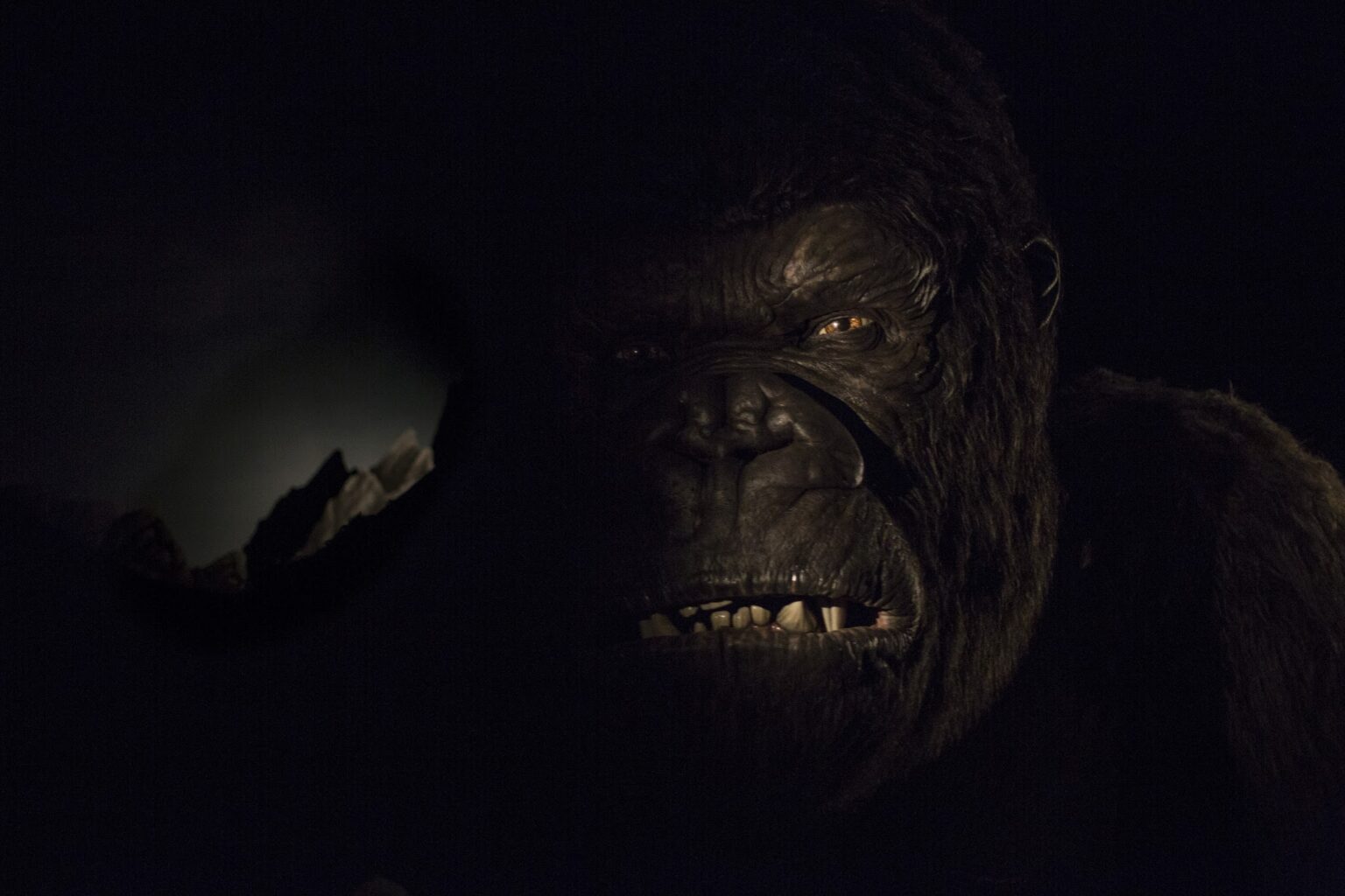 King Kong tem imagem revelada
