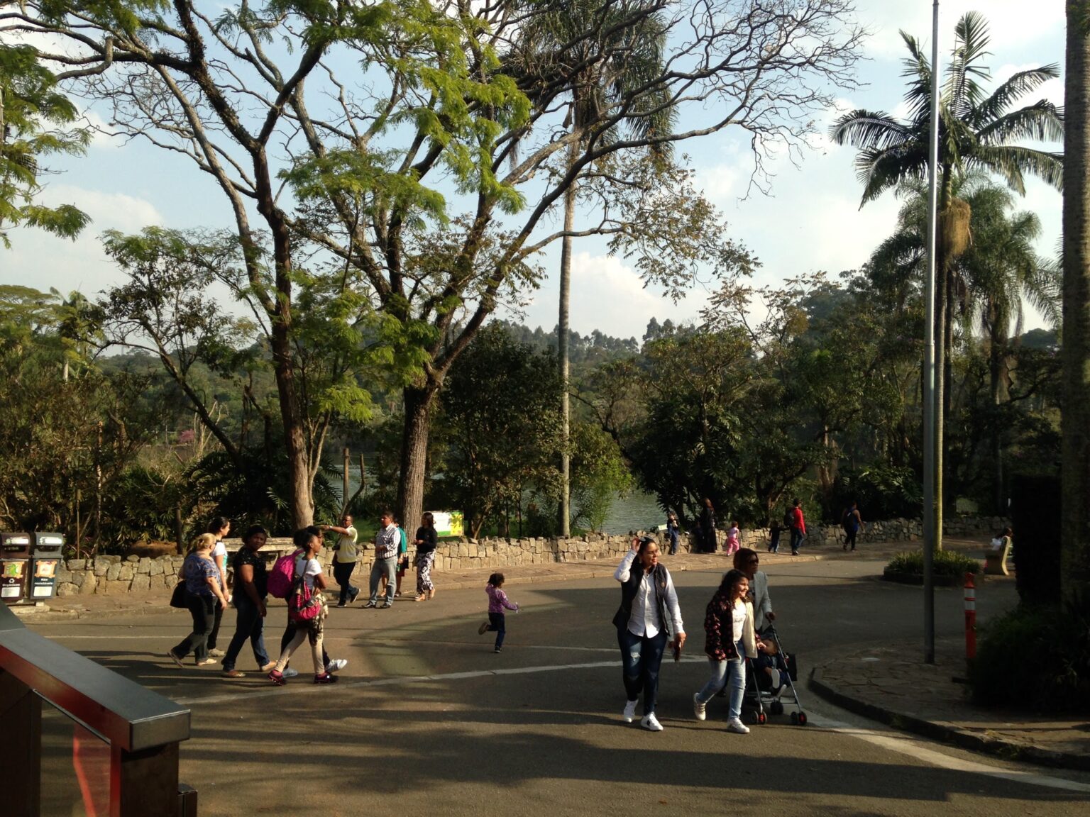 Zoológico de São Paulo e o Mundo dos Dinossauros