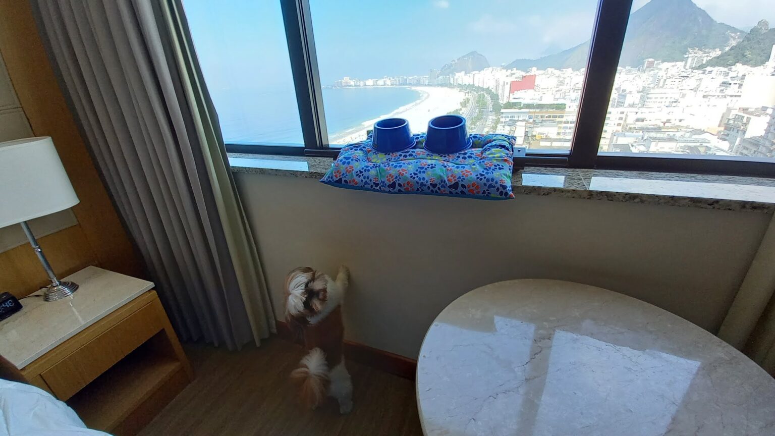 Hilton Copacabana – Hotel que aceita cachorro no Rio de Janeiro